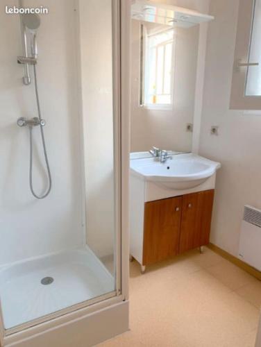une salle de bain blanche avec une douche et un lavabo dans l'établissement Charmante petite maison, à Soustons