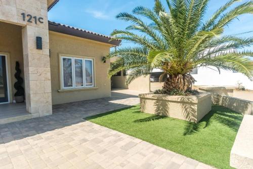 a palm tree in a yard next to a house at Villa Oasis in Palm-Eagle Beach
