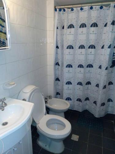 a bathroom with a toilet and a sink and a shower curtain at Depto Plaza España in Córdoba