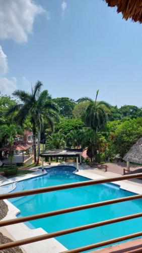 a swimming pool at a resort with palm trees at Hotel MarBrissa in Puerto Barrios