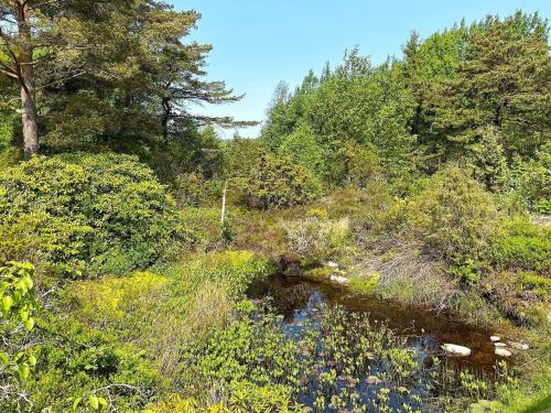 a stream in the middle of a field with trees at 6 person holiday home in UDDEVALLA-By Traum in Uddevalla