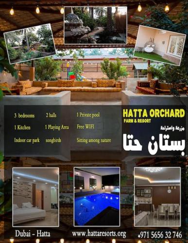 Hatta Orchard
