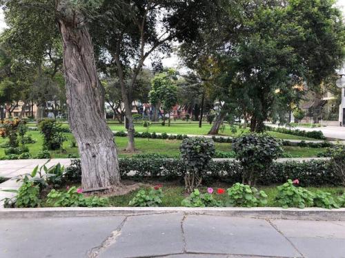 um parque com uma árvore e flores num parque em Sta Catalina / San Isidro , Furnished Family Home em Lima
