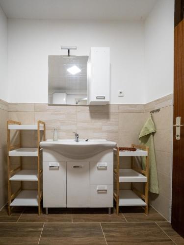 a kitchen with a sink and a shelf at Kiara Apartments & Rooms in Jesenice