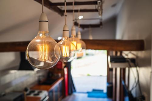 a group of light bulbs hanging from a ceiling at Wallabies, parrots, farm animals in St Helens