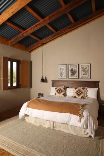 a bedroom with a large bed in a room at Alma Liebre Viñedos del Valle in Valle de Guadalupe