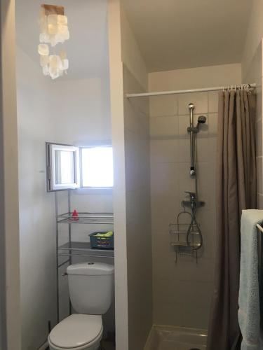 une salle de bain avec toilettes et douche dans l'établissement Studio Nîmes centre - clim mobile, à Nîmes