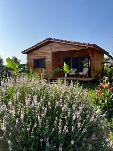 uma pequena casa num jardim com flores roxas em Lemon Garden Lodge em Cirali