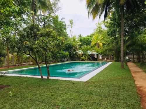 a person swimming in a pool in a yard at La Dolce Vita in Sigiriya