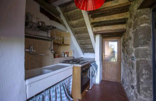 a kitchen with a stove top oven next to a stone wall at Elettra Flower Roccia in Montecatini Val di Cecina