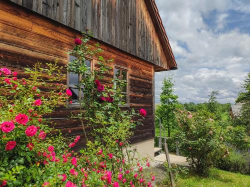 Kolpa holiday house – Photos 4