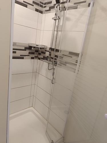 une douche avec une porte vitrée dans une salle de bain dans l'établissement BEAUREGARD, à Dijon