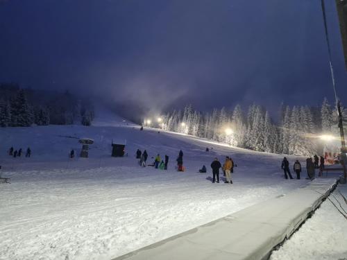 a group of people on a snow covered slope at night at Cabana Floare de stâncă Retezat cu Ciubar in pădure in Hunedoara