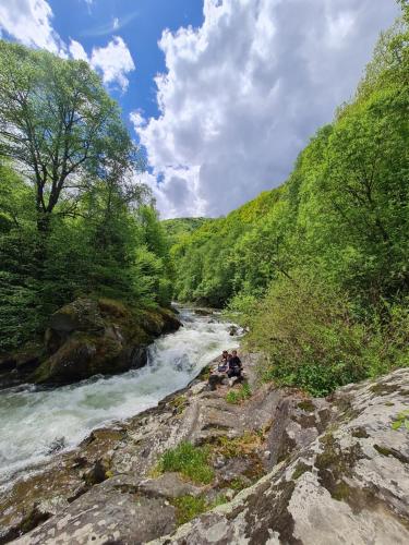 a group of people sitting on the rocks next to a river at Cabana Floare de stâncă Retezat cu Ciubar in pădure in Hunedoara