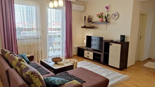 ein Wohnzimmer mit einem Sofa und einem Flachbild-TV in der Unterkunft Dado in Bijeljina