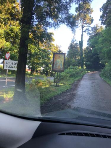 アパートメントの近くで見られる自然の景観