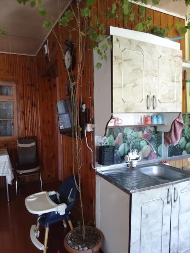 a kitchen with a sink and a tree in it at Tsvirmi Zviadi's guesthouse in Mestia