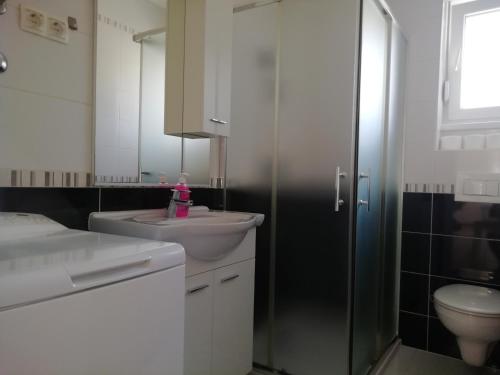 ein Badezimmer mit einem Waschbecken, einem WC und einem Spiegel in der Unterkunft Apartment Silvana in Trogir