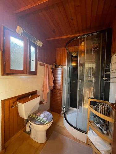 une salle de bain avec toilettes et douche en verre dans l'établissement Casita Lola, à Lucciana