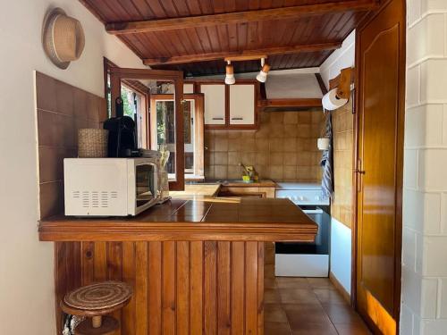 une cuisine avec un comptoir avec un micro-ondes dans l'établissement Casita Lola, à Lucciana