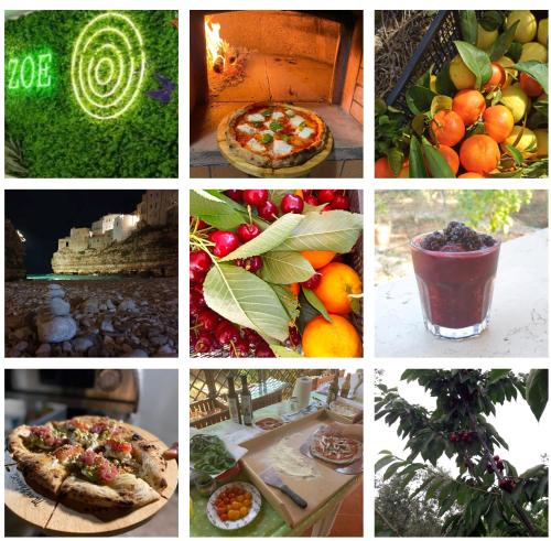 a collage of pictures of food and fruits and vegetables at La Casetta di Zoe Apartment in Molfetta