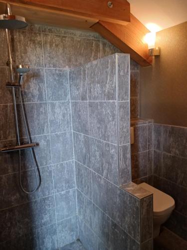 a bathroom with a shower and a toilet at LA MAISON FORTE in Montaut