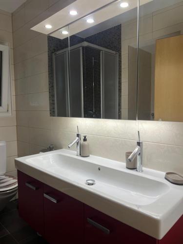 La salle de bains est pourvue d'un lavabo blanc et d'un miroir. dans l'établissement La Palmeraie, à Fully