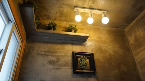 ein Zimmer mit zwei Topfpflanzen an einer Wand mit Licht in der Unterkunft Hannahstay Women Only Guesthouse in Jeju-do