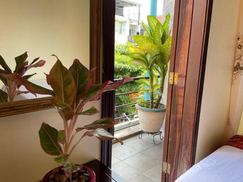 a room with a window with plants and a mirror at Khách sạn Minh Châu - Hòa Hưng in Ho Chi Minh City
