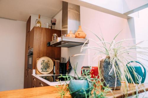 a kitchen with potted plants on a counter at Huis aan de Haven in Lemmer