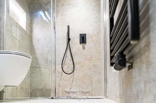a shower in a bathroom with a glass door at Piciulei Pitl in Selva di Val Gardena