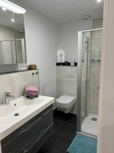 a bathroom with a sink and a toilet and a shower at Küstenzauber in Schönhagen
