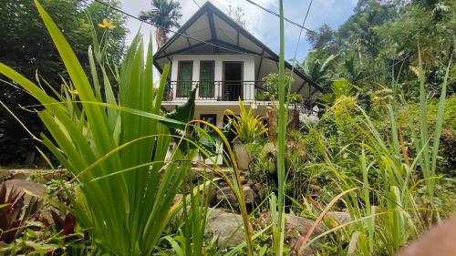 a small house in the middle of a garden at Riverston Nature Villa in Rattota