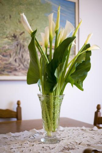 Apartment Lavanda