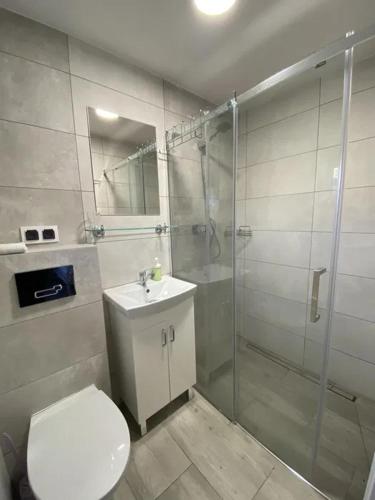 uma casa de banho com um chuveiro, um WC e um lavatório. em Domki na wynajem w Kątach Rybackich em Kąty Rybackie
