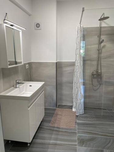 ein Badezimmer mit Waschbecken und Dusche in der Unterkunft Apartament - Housing21 in Gura Humorului