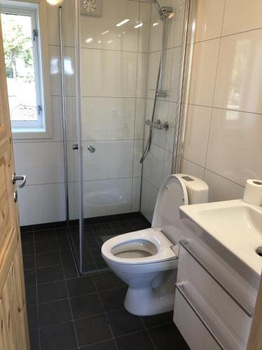 a bathroom with a shower and a toilet and a sink at Sykkelhytte ved Slåtten i Synnfjellet in Nord Torpa