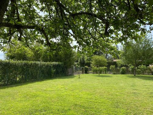 a green yard with a hedge and a tree at La Maison des anges avec jardin : proche beauval in Billy
