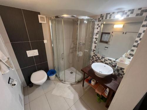 een badkamer met een douche, een toilet en een wastafel bij Stefanka apartment Old Town in Bratislava