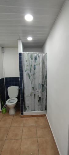 a bathroom with a toilet and a shower curtain at Appartement 45m² 1er étage in Lunel