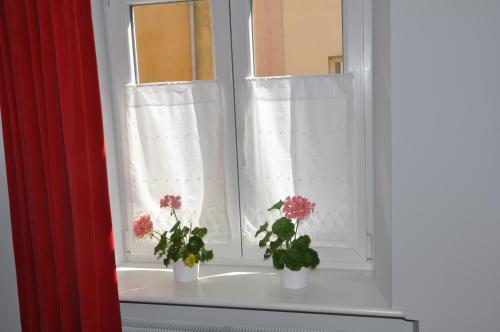 dwie doniczki siedzące na parapecie w obiekcie Krakowsky Apartment w Krakowie