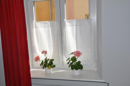 two potted plants sitting on a window sill at Krakowsky Apartment in Krakow