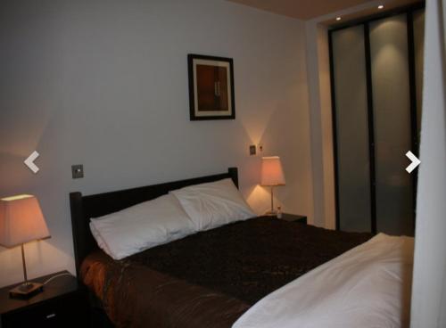 a bedroom with a bed with two lamps on tables at 2 Bed Apartment in Sandyford