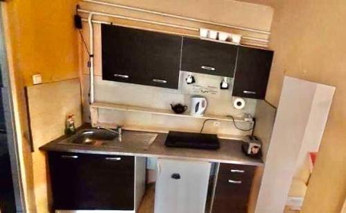 uma pequena cozinha com um lavatório e uma bancada em 2 Rooms Retro Guesthouse in a silent garden em Vecsés