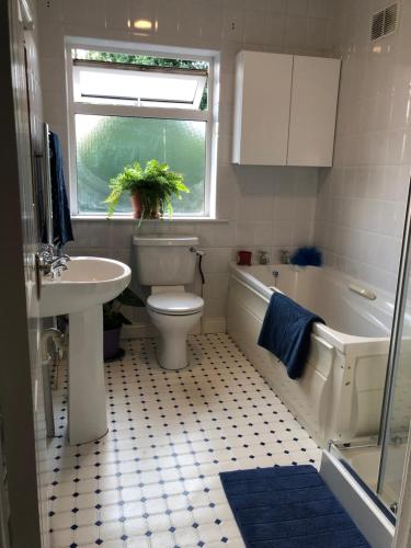 W łazience znajduje się umywalka, toaleta i wanna. w obiekcie The Piano House w mieście Carlow