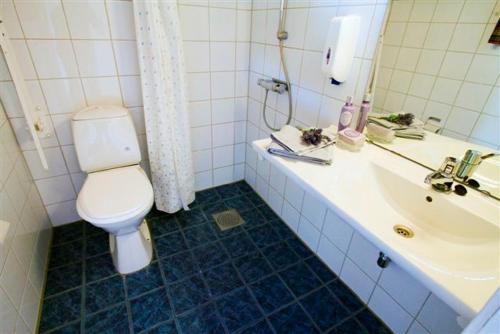 a bathroom with a toilet and a sink at Grønolen Fjellgard in Beitostøl
