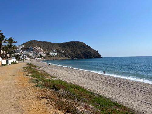 a beach with palm trees and the ocean at Ancón Suites in Carboneras