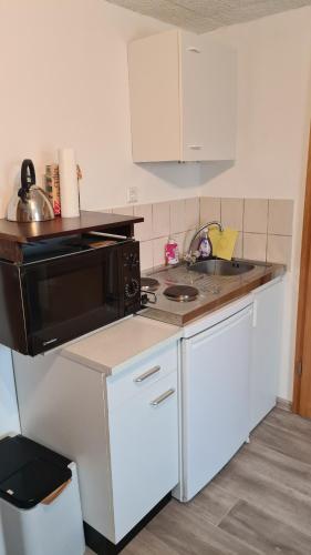 een keuken met een wastafel en een magnetron bij Ferienwohnung Anders in Kodersdorf