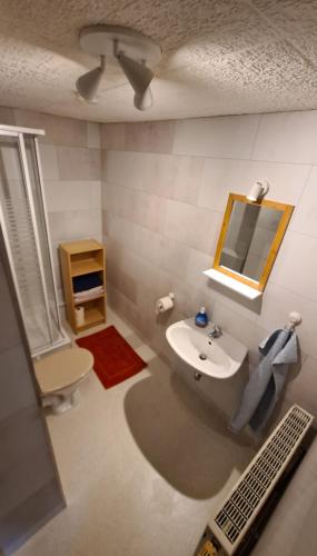 een badkamer met een wastafel, een toilet en een spiegel bij Ferienwohnung Anders in Kodersdorf