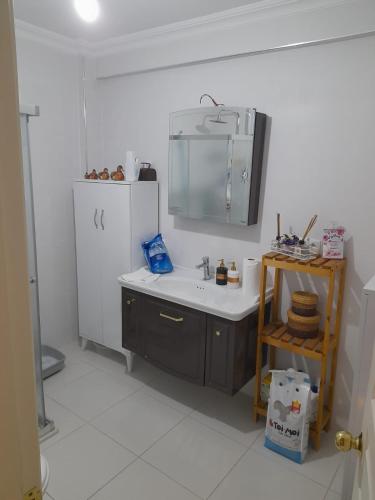 eine Küche mit einer Spüle und einem Kühlschrank in der Unterkunft Fenerbahce Residence Plus in Istanbul